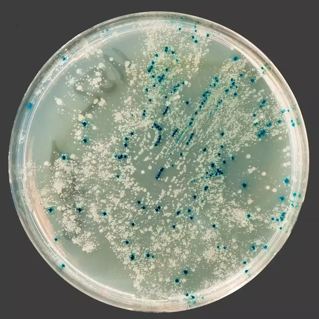 Third-party accredited lab clearance report